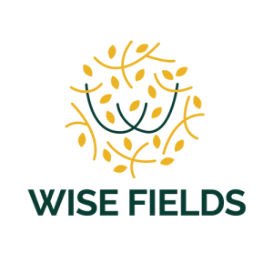 https://moodle.wisefields.pt